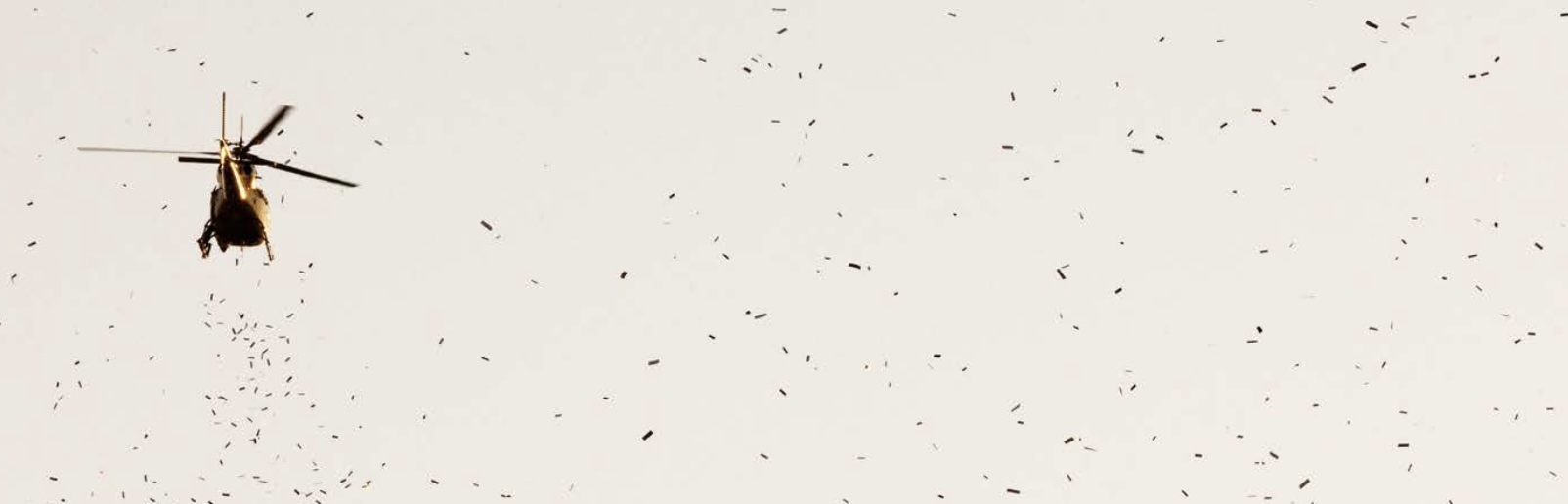 Bombing Poems